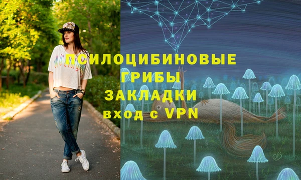 твердый Магас