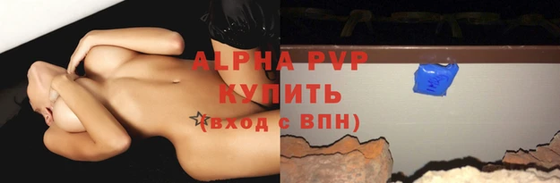 спиды Магадан