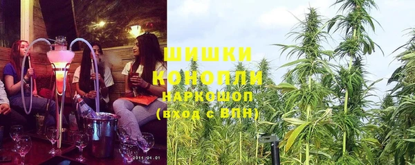 твердый Магас