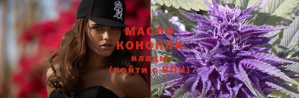 твердый Магас