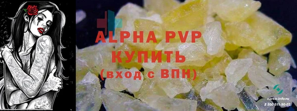 твердый Магас