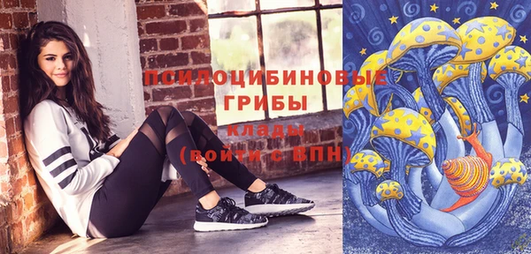 твердый Магас