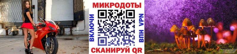 Псилоцибиновые грибы Magic Shrooms Купить Красково